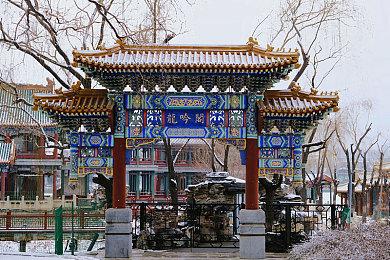 揭秘：村民关系达萍水，每日特殊订单数量大揭秘